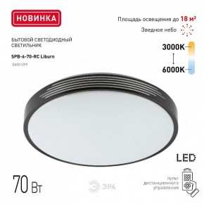 Накладной светильник Эра Классик SPB-6-70-RC Liburn в Каменске-Уральском - kamensk-uralskiy.ok-mebel.com | фото 10