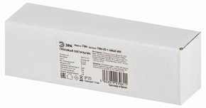 Накладной светильник Эра  TRM-S5-1-6W4K-WH в Каменске-Уральском - kamensk-uralskiy.ok-mebel.com | фото 6