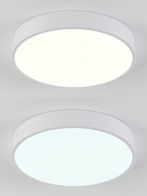 Накладной светильник Natali Kovaltseva  LED LAMPS 81111/5C в Каменске-Уральском - kamensk-uralskiy.ok-mebel.com | фото 4