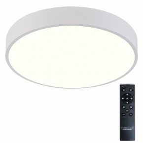 Накладной светильник Natali Kovaltseva  LED LAMPS 81112/5C в Каменске-Уральском - kamensk-uralskiy.ok-mebel.com | фото 2