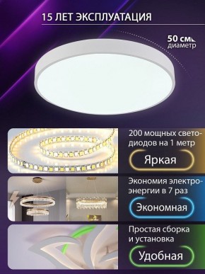 Накладной светильник Natali Kovaltseva  LED LAMPS 81112/5C в Каменске-Уральском - kamensk-uralskiy.ok-mebel.com | фото 4