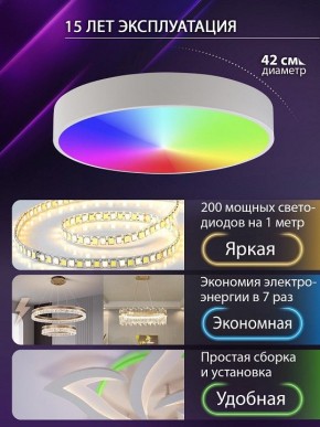 Накладной светильник Natali Kovaltseva MODERN LED LAMPS 81105/1C в Каменске-Уральском - kamensk-uralskiy.ok-mebel.com | фото 6