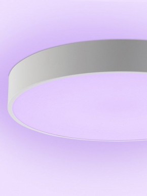 Накладной светильник Natali Kovaltseva MODERN LED LAMPS 81105/1C в Каменске-Уральском - kamensk-uralskiy.ok-mebel.com | фото 9