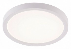 Накладной светильник Natali Kovaltseva PLAIN LED LAMPS 81113/1C в Каменске-Уральском - kamensk-uralskiy.ok-mebel.com | фото