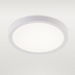 Накладной светильник Natali Kovaltseva PLAIN LED LAMPS 81113/1C в Каменске-Уральском - kamensk-uralskiy.ok-mebel.com | фото 2