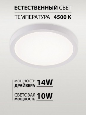 Накладной светильник Natali Kovaltseva PLAIN LED LAMPS 81113/1C в Каменске-Уральском - kamensk-uralskiy.ok-mebel.com | фото 4