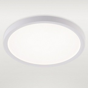 Накладной светильник Natali Kovaltseva PLAIN LED LAMPS 81113/2C в Каменске-Уральском - kamensk-uralskiy.ok-mebel.com | фото 2