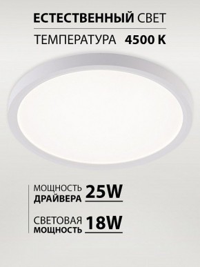 Накладной светильник Natali Kovaltseva PLAIN LED LAMPS 81113/2C в Каменске-Уральском - kamensk-uralskiy.ok-mebel.com | фото 3