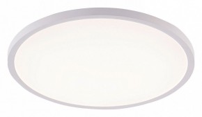 Накладной светильник Natali Kovaltseva PLAIN LED LAMPS 81113/5C в Каменске-Уральском - kamensk-uralskiy.ok-mebel.com | фото