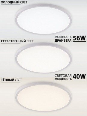 Накладной светильник Natali Kovaltseva PLAIN LED LAMPS 81113/5C в Каменске-Уральском - kamensk-uralskiy.ok-mebel.com | фото 3