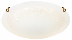 Накладной светильник Sonex Ammonite 7602/DL в Каменске-Уральском - kamensk-uralskiy.ok-mebel.com | фото 3