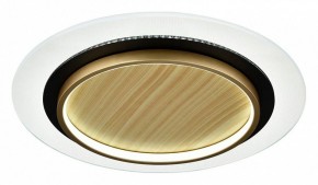 Накладной светильник Sonex Sunny 7731/80L в Каменске-Уральском - kamensk-uralskiy.ok-mebel.com | фото