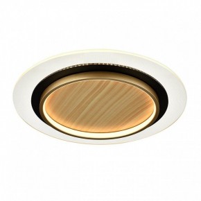 Накладной светильник Sonex Sunny 7731/80L в Каменске-Уральском - kamensk-uralskiy.ok-mebel.com | фото 6