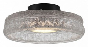 Накладной светильник ST-Luce ANTIKE SL6143.402.01 в Каменске-Уральском - kamensk-uralskiy.ok-mebel.com | фото 2
