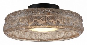 Накладной светильник ST-Luce ANTIKE SL6143.422.01 в Каменске-Уральском - kamensk-uralskiy.ok-mebel.com | фото 3