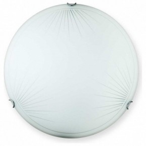 Накладной светильник TopLight Wifa TL9142Y-00WH в Каменске-Уральском - kamensk-uralskiy.ok-mebel.com | фото