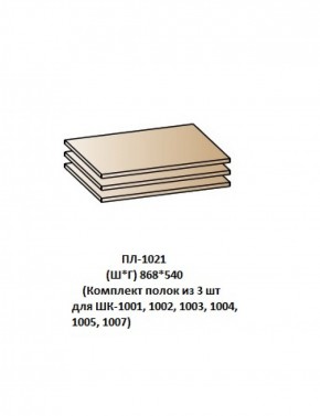 ПЛ-1021 (Комплект полок из 3 шт для ШК-1001, 1002, 1003, 1004, 1005, 1007) в Каменске-Уральском - kamensk-uralskiy.ok-mebel.com | фото