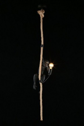 Подвесной светильник Aployt Magali APL.309.16.01 в Каменске-Уральском - kamensk-uralskiy.ok-mebel.com | фото 3