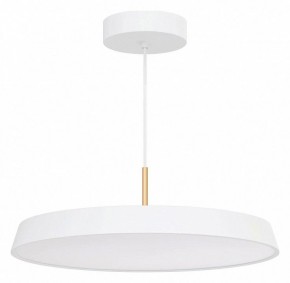 Подвесной светильник Arlight ELEGANT 033925(1) в Каменске-Уральском - kamensk-uralskiy.ok-mebel.com | фото 2