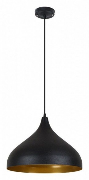 Подвесной светильник Arte Lamp Carmel A7076SP-1BK в Каменске-Уральском - kamensk-uralskiy.ok-mebel.com | фото 2