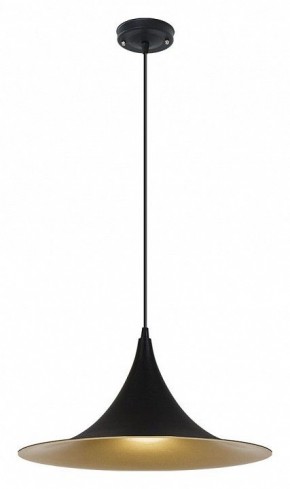 Подвесной светильник Arte Lamp Carmel A7080SP-1BK в Каменске-Уральском - kamensk-uralskiy.ok-mebel.com | фото 2
