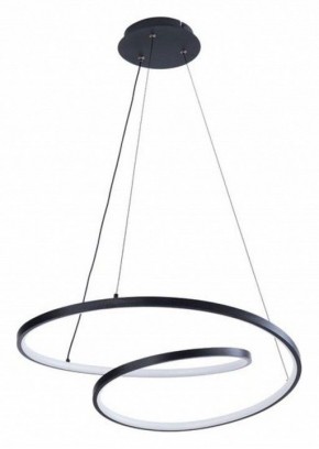 Подвесной светильник Arte Lamp Millo A3893SP-30BK в Каменске-Уральском - kamensk-uralskiy.ok-mebel.com | фото 2
