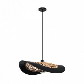 Подвесной светильник Arte Lamp Woodstock A7059SP-1BK в Каменске-Уральском - kamensk-uralskiy.ok-mebel.com | фото 2
