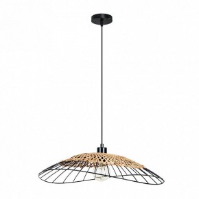 Подвесной светильник Arte Lamp Woodstock A7061SP-1BK в Каменске-Уральском - kamensk-uralskiy.ok-mebel.com | фото 2