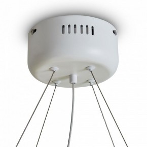 Подвесной светильник Freya Rain FR5546PL-L60W в Каменске-Уральском - kamensk-uralskiy.ok-mebel.com | фото 9