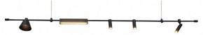Подвесной светильник Kink Light Ристо 07616-180L,19 в Каменске-Уральском - kamensk-uralskiy.ok-mebel.com | фото