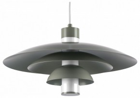 Подвесной светильник Lightstar Erbareo 799019 в Каменске-Уральском - kamensk-uralskiy.ok-mebel.com | фото