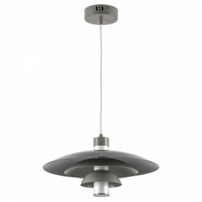 Подвесной светильник Lightstar Erbareo 799019 в Каменске-Уральском - kamensk-uralskiy.ok-mebel.com | фото 2