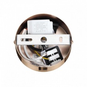 Подвесной светильник Lumion Cristie 8009/6L в Каменске-Уральском - kamensk-uralskiy.ok-mebel.com | фото 6