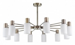 Подвесной светильник Lumion Mave 8100/12C в Каменске-Уральском - kamensk-uralskiy.ok-mebel.com | фото