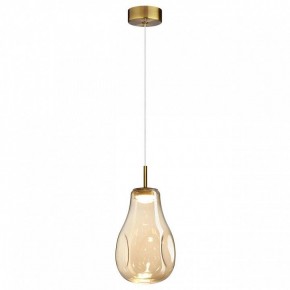 Подвесной светильник Odeon Light Nave 5098/4L в Каменске-Уральском - kamensk-uralskiy.ok-mebel.com | фото 2