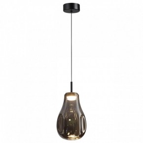 Подвесной светильник Odeon Light Nave 5098/4LC в Каменске-Уральском - kamensk-uralskiy.ok-mebel.com | фото 2