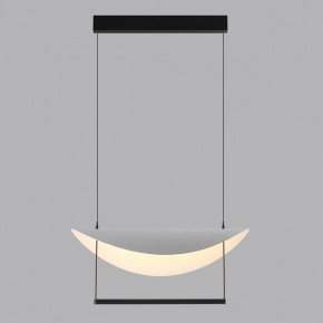 Подвесной светильник Odeon Light Next 7015/20L в Каменске-Уральском - kamensk-uralskiy.ok-mebel.com | фото 4