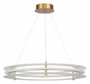 Подвесной светильник ST-Luce FAGY SL6245.203.01 в Каменске-Уральском - kamensk-uralskiy.ok-mebel.com | фото 3