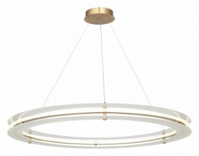 Подвесной светильник ST-Luce FAGY SL6245.213.01 в Каменске-Уральском - kamensk-uralskiy.ok-mebel.com | фото 4