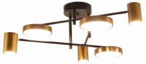 Потолочная люстра Kink Light Рапис 07645-6D,19(20) в Каменске-Уральском - kamensk-uralskiy.ok-mebel.com | фото