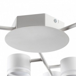 Потолочная люстра Lumion Gareta 8235/9C в Каменске-Уральском - kamensk-uralskiy.ok-mebel.com | фото 8