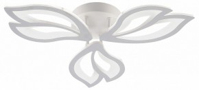 Потолочная люстра Natali Kovaltseva FORTUNA LED LAMPS 81107/2C в Каменске-Уральском - kamensk-uralskiy.ok-mebel.com | фото