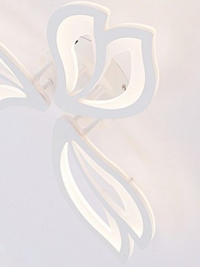 Потолочная люстра Natali Kovaltseva FORTUNA LED LAMPS 81107/2C в Каменске-Уральском - kamensk-uralskiy.ok-mebel.com | фото 11