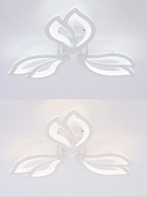 Потолочная люстра Natali Kovaltseva FORTUNA LED LAMPS 81107/2C в Каменске-Уральском - kamensk-uralskiy.ok-mebel.com | фото 4