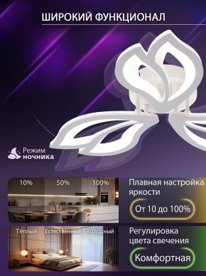Потолочная люстра Natali Kovaltseva FORTUNA LED LAMPS 81107/2C в Каменске-Уральском - kamensk-uralskiy.ok-mebel.com | фото 5
