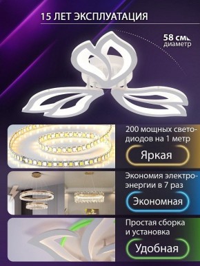 Потолочная люстра Natali Kovaltseva FORTUNA LED LAMPS 81107/2C в Каменске-Уральском - kamensk-uralskiy.ok-mebel.com | фото 6
