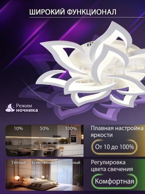 Потолочная люстра Natali Kovaltseva OLIMP LED SMART 84005 в Каменске-Уральском - kamensk-uralskiy.ok-mebel.com | фото 6
