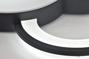 Потолочная люстра Rivoli Aliona Б0066452 в Каменске-Уральском - kamensk-uralskiy.ok-mebel.com | фото 12