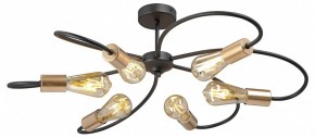 Потолочная люстра Vitaluce V3076 V3076-1/6PL в Каменске-Уральском - kamensk-uralskiy.ok-mebel.com | фото 3