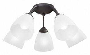 Потолочная люстра Vitaluce V3184 V3737-2/5PL в Каменске-Уральском - kamensk-uralskiy.ok-mebel.com | фото